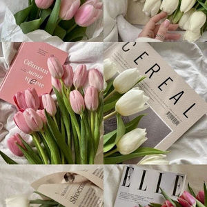 Meet your Posher, Fariza